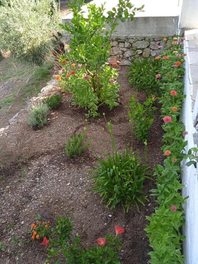 Agios Petros  Marianna Studios מראה חיצוני תמונה
